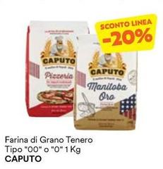 Caputo - Farina Di Grano Tenero Tipo 