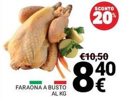 Faraona A Busto