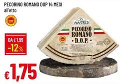 Amatrice - Pecorino Romano DOP 14 Mesi