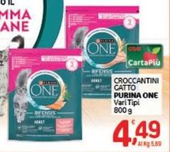 Purina - Croccantini Gatto