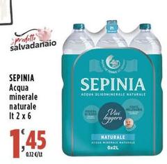 Sepinia - Acqua Minerale Naturale 