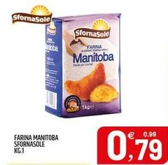 Sfornasole - Farina Manitoba