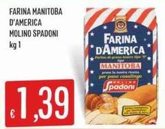 Molino Spadoni - Farina Manitoba D'America