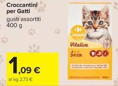 Croccantini Per Gatti