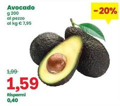 Avocado