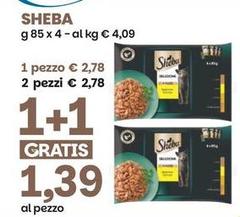 Sheba -