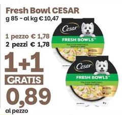Cesar - Fresh Bowl