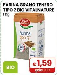 Vital Nature - Farina Grano Tenero Tipo 2 Bio 1 Kg