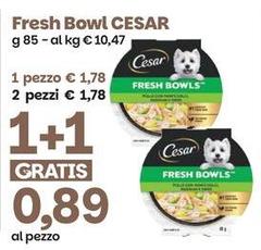 Cesar - Fresh Bowl