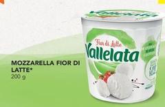 Vallelata - Mozzarella Fior Di Latte