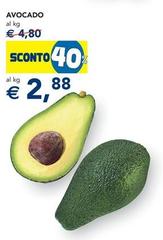 Avocado