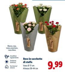 Rose In Sacchetto Di Stoffa