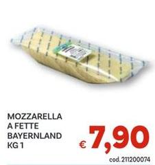 Bayernland - Mozzarella A Fette