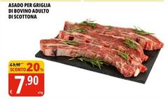 Asado Per Griglia Di Bovino Adulto Di Scottona