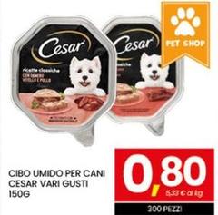 Cesar - Cibo Umido Per Cani
