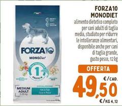 Forza10 Monodier
