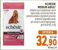 Schesir - Medium Adult