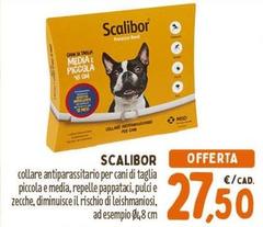 Collare Antiparassitario Per Cani Di Taglia Piccola E Media, Repelle Pappartai, Puli E Zecche, Dimmniuse Il Rischio Di Leishmaniosi, Ad Espempioio