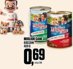 Morando - Miglior Cane Bocconi