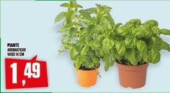 Piante Aromatiche Vaso 14 Cm