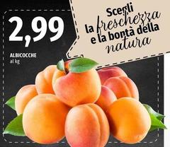Albicocche