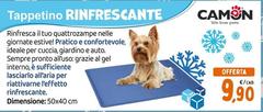Camon - Tappetino Rinfrescante