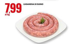 Luganega Di Suino