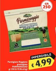 GranTerre - Parmigiano Reggiano Grattugiato