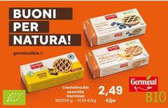 Germinal - Crostatina Bio