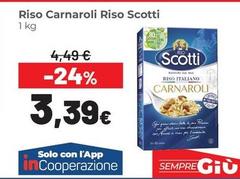 Scotti - Riso Carnaroli