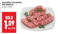 Salamella Di Suino Per Griglia