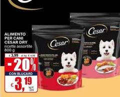 Cesar - Alimento Per Cani Dry