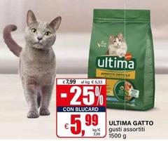 Affinity - Ultima Gatto