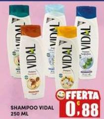 Vidal - Shampoo