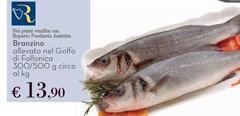Branzino Allevato Nel Golfo Di Follonica