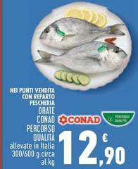 Conad - Orate Percorso Qualità