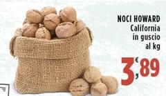 Noci Howard California In Guscio