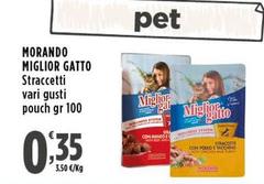 Morando - Miglior Gatto
