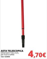 Asta -  Telescopica