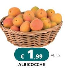 Albicocche