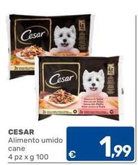 Cesar - Alimento Umido Cane