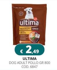Ultima - Dog Adult Pollo
