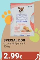 Monge - Special Dog