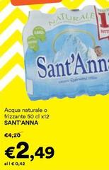 Sant'anna - Acqua Naturale