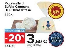 Terre d'Italia - Mozzarella Di Bufala Campana DOP