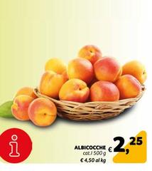 Albicocche 