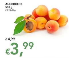 Albicocche