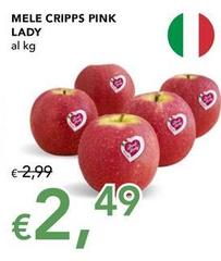  Pink Lady - Mele Cripps 