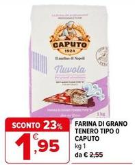 Caputo - Farina Di Grano Tenero Tipo O