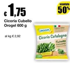 Orogel - Cicoria Cubello